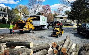 Lawn Pest Prevention in Strasburg, CO